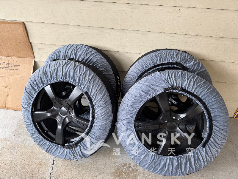 250315235233_In Bags 2.jpg